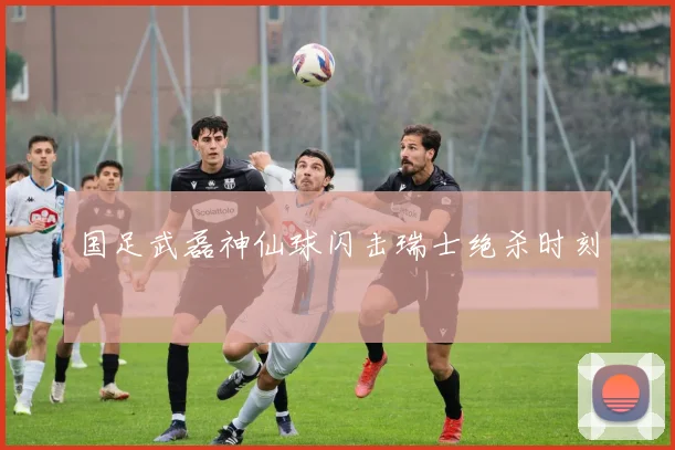 国足武磊神仙球闪击瑞士绝杀时刻