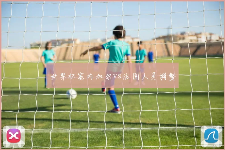 世界杯塞内加尔vs法国人员调整
