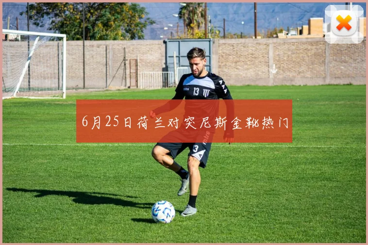 6月25日荷兰对突尼斯金靴热门