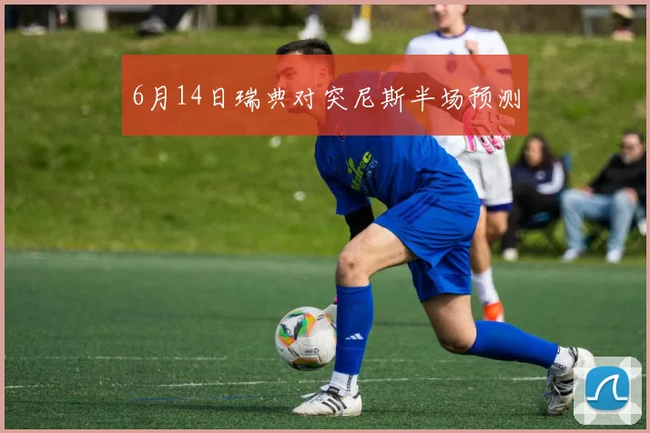 6月14日瑞典对突尼斯半场预测