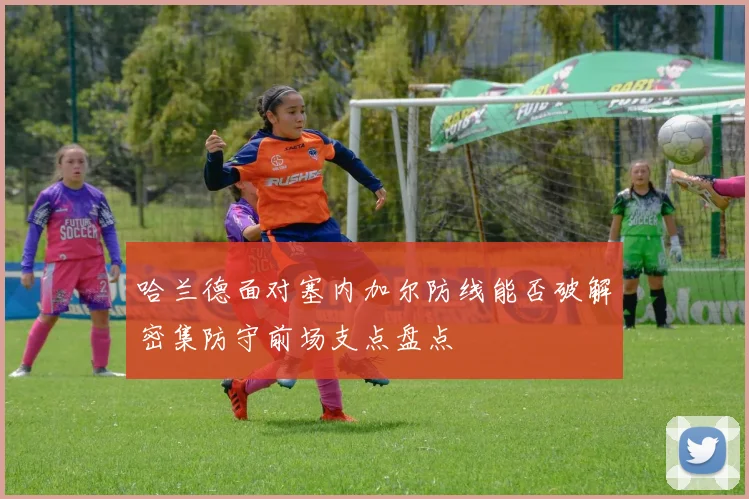 哈兰德面对塞内加尔防线能否破解密集防守前场支点盘点