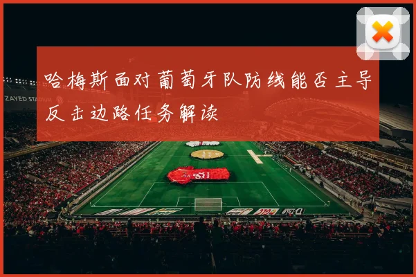 哈梅斯面对葡萄牙队防线能否主导反击边路任务解读