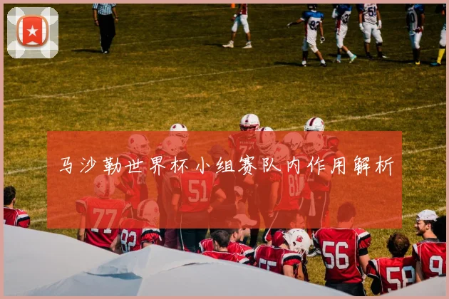 马沙勒世界杯小组赛队内作用解析