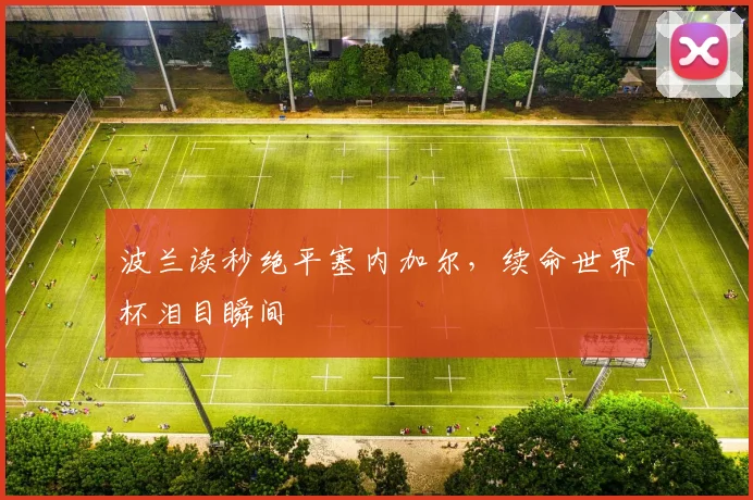 波兰读秒绝平塞内加尔，续命世界杯泪目瞬间