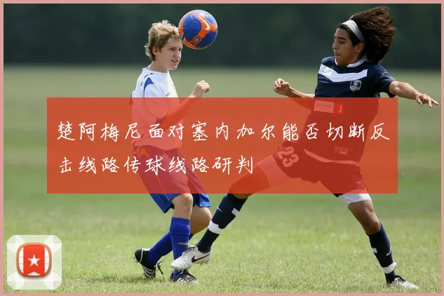 楚阿梅尼面对塞内加尔能否切断反击线路传球线路研判