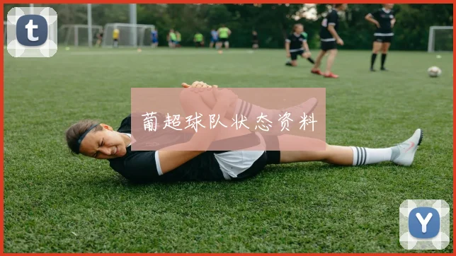 葡超球队状态资料