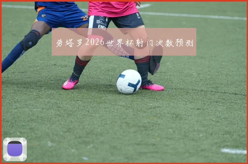 劳塔罗2026世界杯射门次数预测