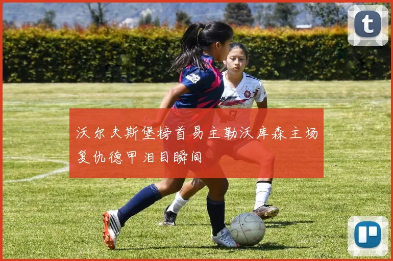 沃尔夫斯堡榜首易主勒沃库森主场复仇德甲泪目瞬间