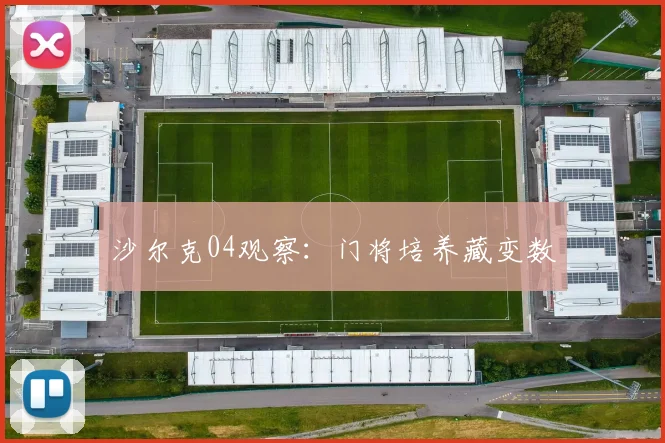 沙尔克04观察：门将培养藏变数