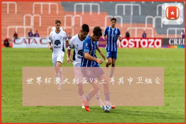 世界杯澳大利亚vs土耳其中卫组合