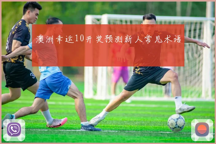 澳洲幸运10开奖预测新人常见术语