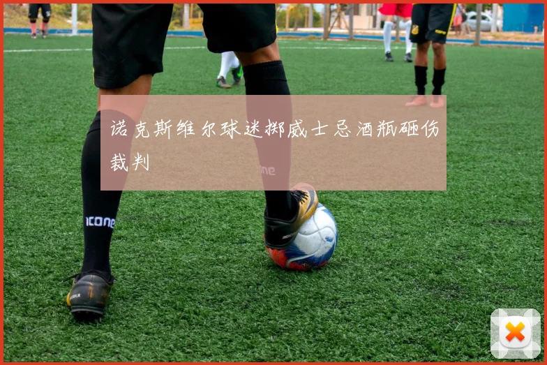 诺克斯维尔球迷掷威士忌酒瓶砸伤裁判