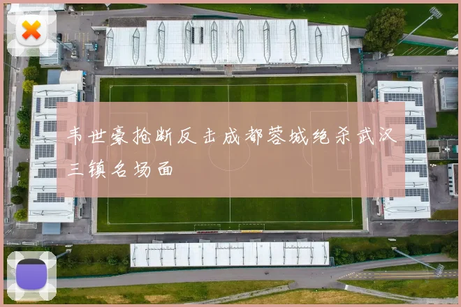 韦世豪抢断反击成都蓉城绝杀武汉三镇名场面
