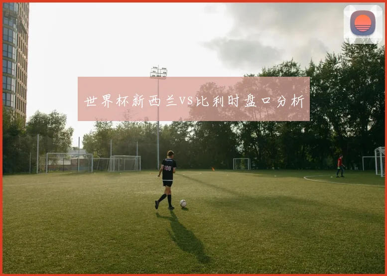 世界杯新西兰vs比利时盘口分析