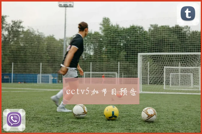 cctv5加节目预告