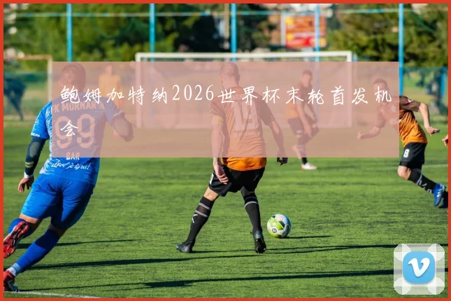 鲍姆加特纳2026世界杯末轮首发机会
