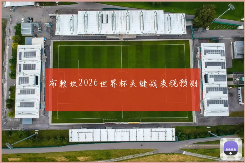 布赖坎2026世界杯关键战表现预测